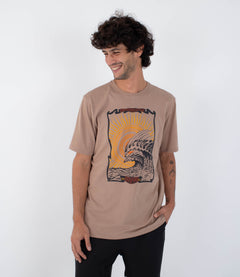 BRISTLECONE HTR