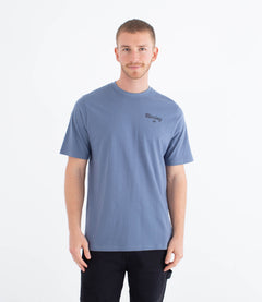 GREY TEAL